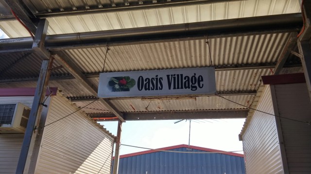 20150811_141844_HDR.jpg image