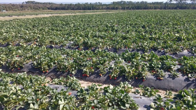 20150812_123537_HDR.jpg image