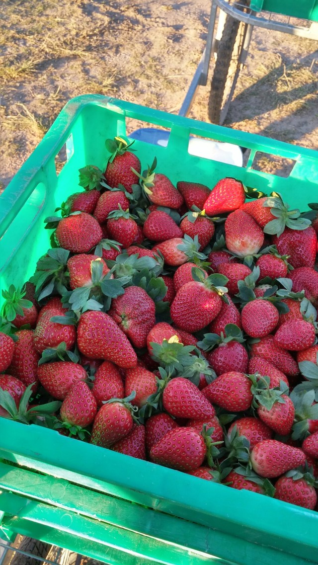 20150813_165438_HDR.jpg image