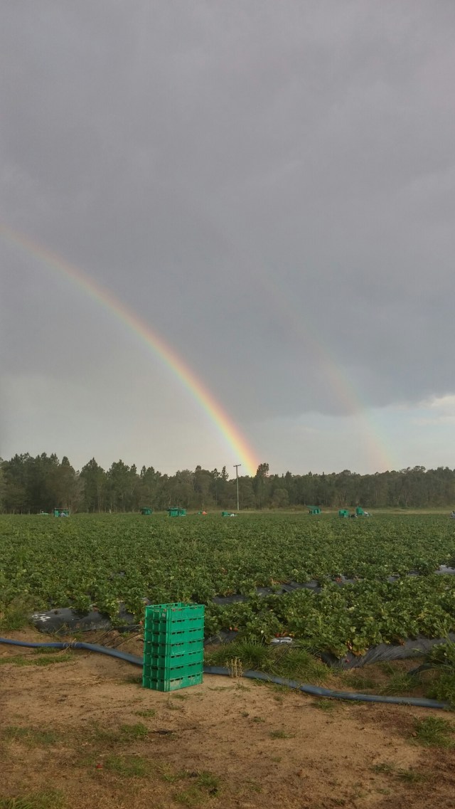 20150930_162808_HDR.jpg image